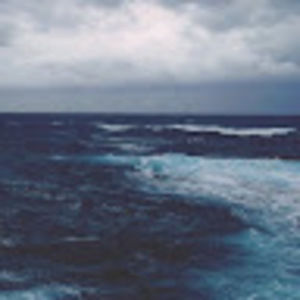 Meet your Posher, Isabella